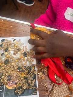 Parable of the mustard seed crafts.