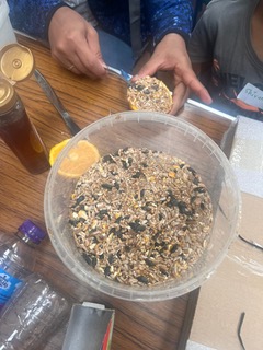 Parable of the mustard seed crafts.